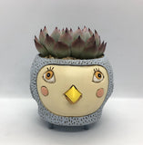 Unique, Quirky and Fun Animal Planter