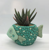 Unique, Quirky and Fun Animal Planter