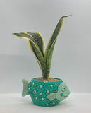 Cute Baby Fish Planter with Plant