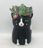 Cute Baby Black Cat Planter with Succulent Plant