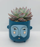 Unique, Quirky and Fun Planter