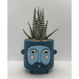 Baby Blue Hairy Jack Planter by Allen Designs