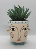 Unique, Quirky and Fun Blue Polly Planter