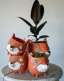 A Collection of Baby Fox Planters with Plants