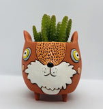 Unique, Quirky and Fun Animal Planter