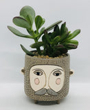 Unique, Quirky and Fun Planter