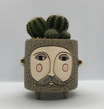 Baby Hairy Jack Planter with Cactus