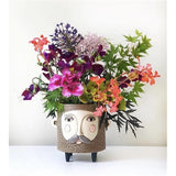 Baby Brown Hairy Jack Planter by Allen Designs