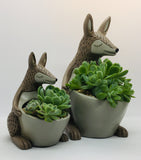 Unique, Quirky and Fun Animal Planters