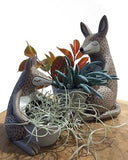 Cute Kangaroo Planters with Plants