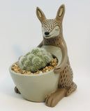 Baby Kangaroo Planter with Cactus