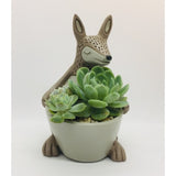 Baby Kangaroo Planter by Allen Designs