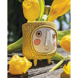 Sun Planter. Project Sunshine