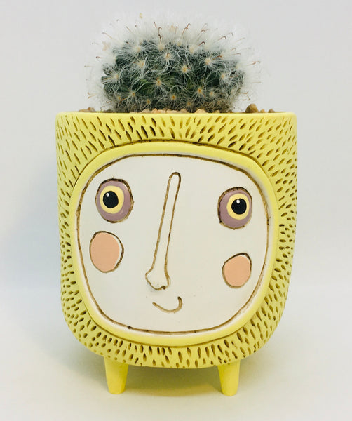 Baby Sun Planter by Allen Designs