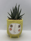 Unique, Quirky and Fun Planter