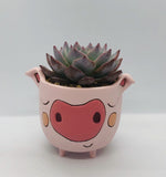 Unique, Quirky and Fun Animal Planter