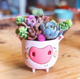 Little Piggy Planter by Artist Michelle Allen