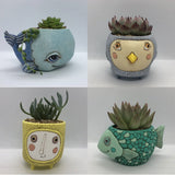 A Collection of Planters by Allen Designs