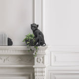The detail and character in this monkey bowl is gorgeous! We love him as a planter. What will you store in this beauty?
