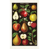 Apples and Pears Vintage Tea Towel by Cavallini &amp; Co
