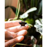 Bee Enamel Pin by HEMLEVA