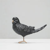 Budgie by White Moose