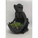 Black Monkey Bowl
