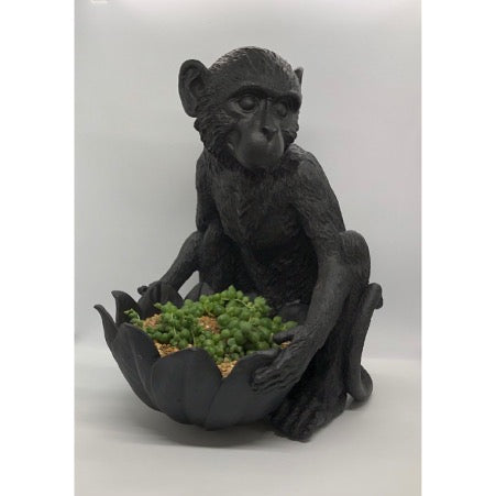 Black Monkey Bowl