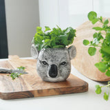 This koala planter is perfect for small indoor plants, herbs or succulents.